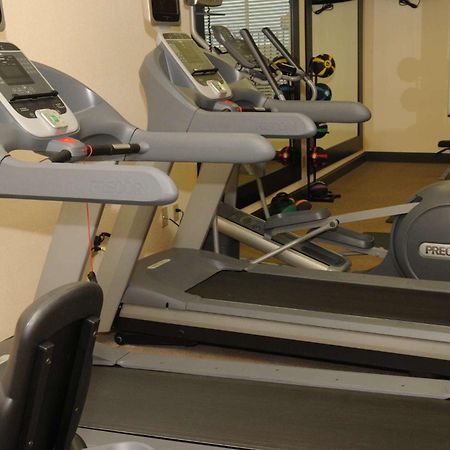 Hilton Garden Inn ניו בראונפלס מתקנים תמונה