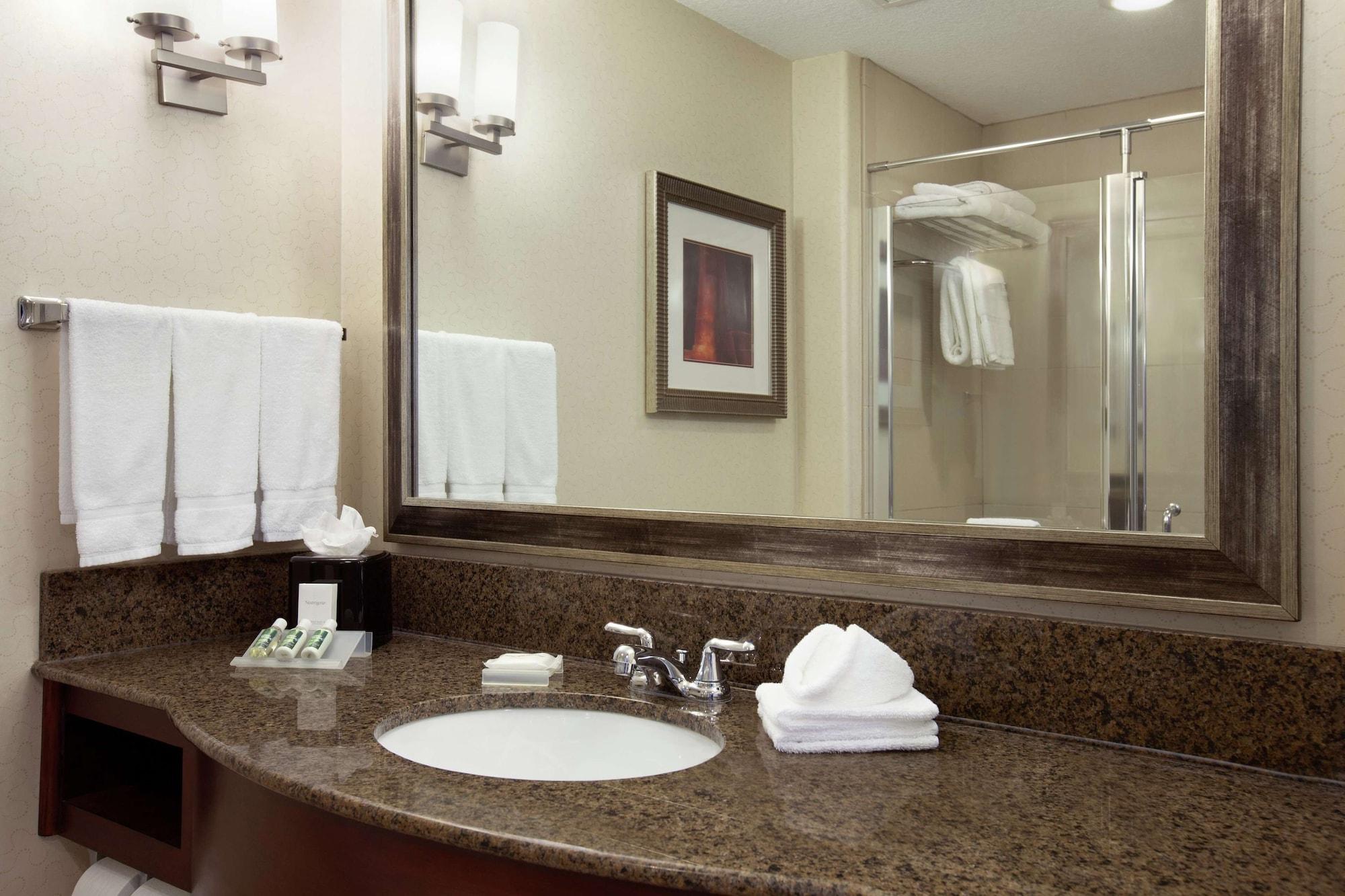 Hilton Garden Inn ניו בראונפלס מראה חיצוני תמונה