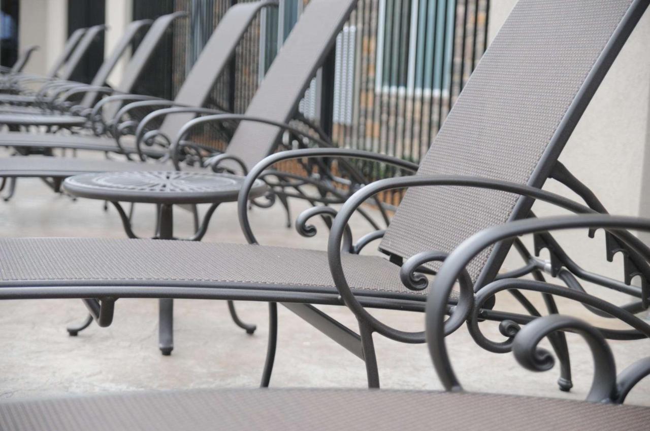 Hilton Garden Inn ניו בראונפלס מראה חיצוני תמונה