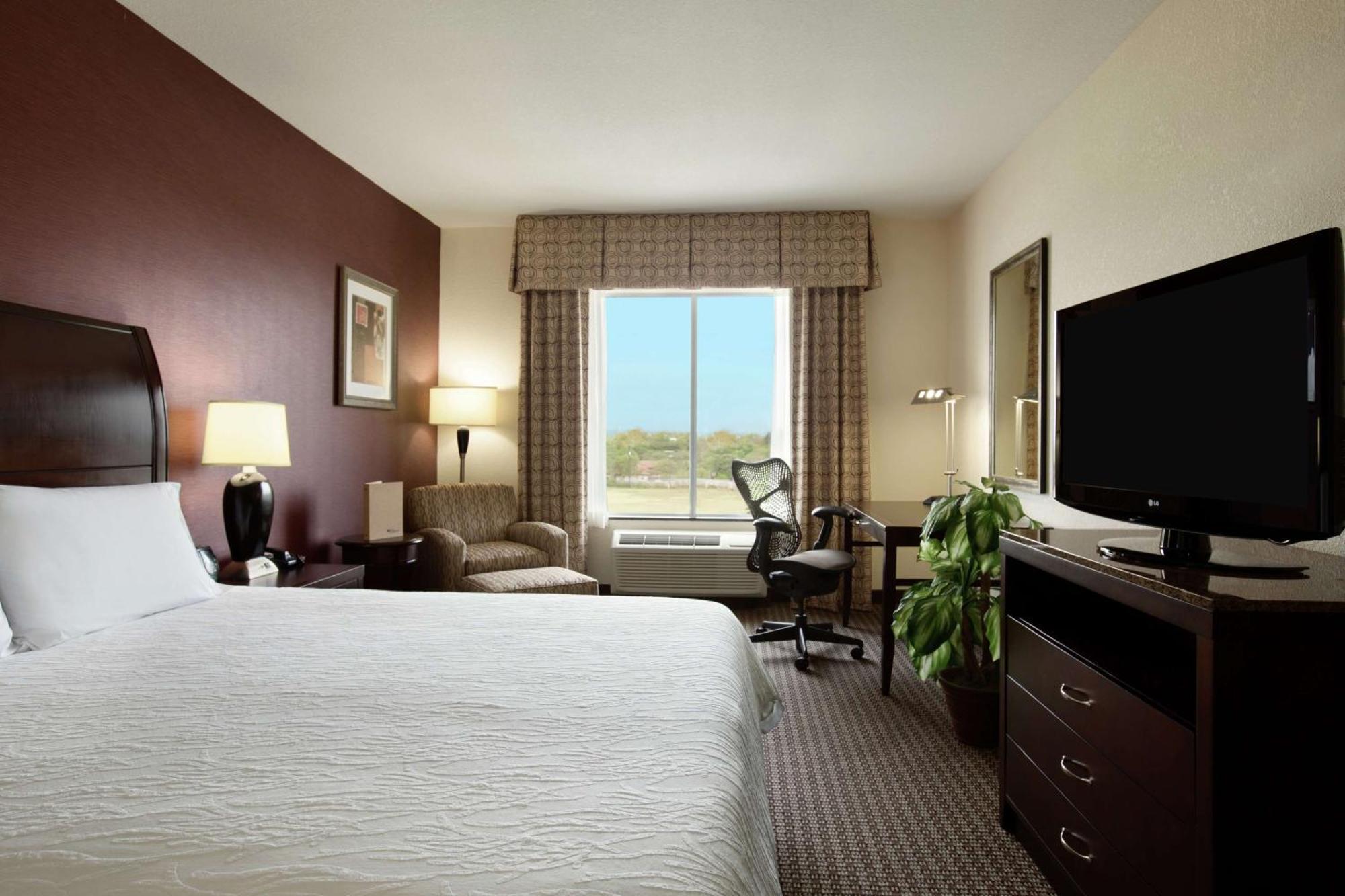 Hilton Garden Inn ניו בראונפלס מראה חיצוני תמונה