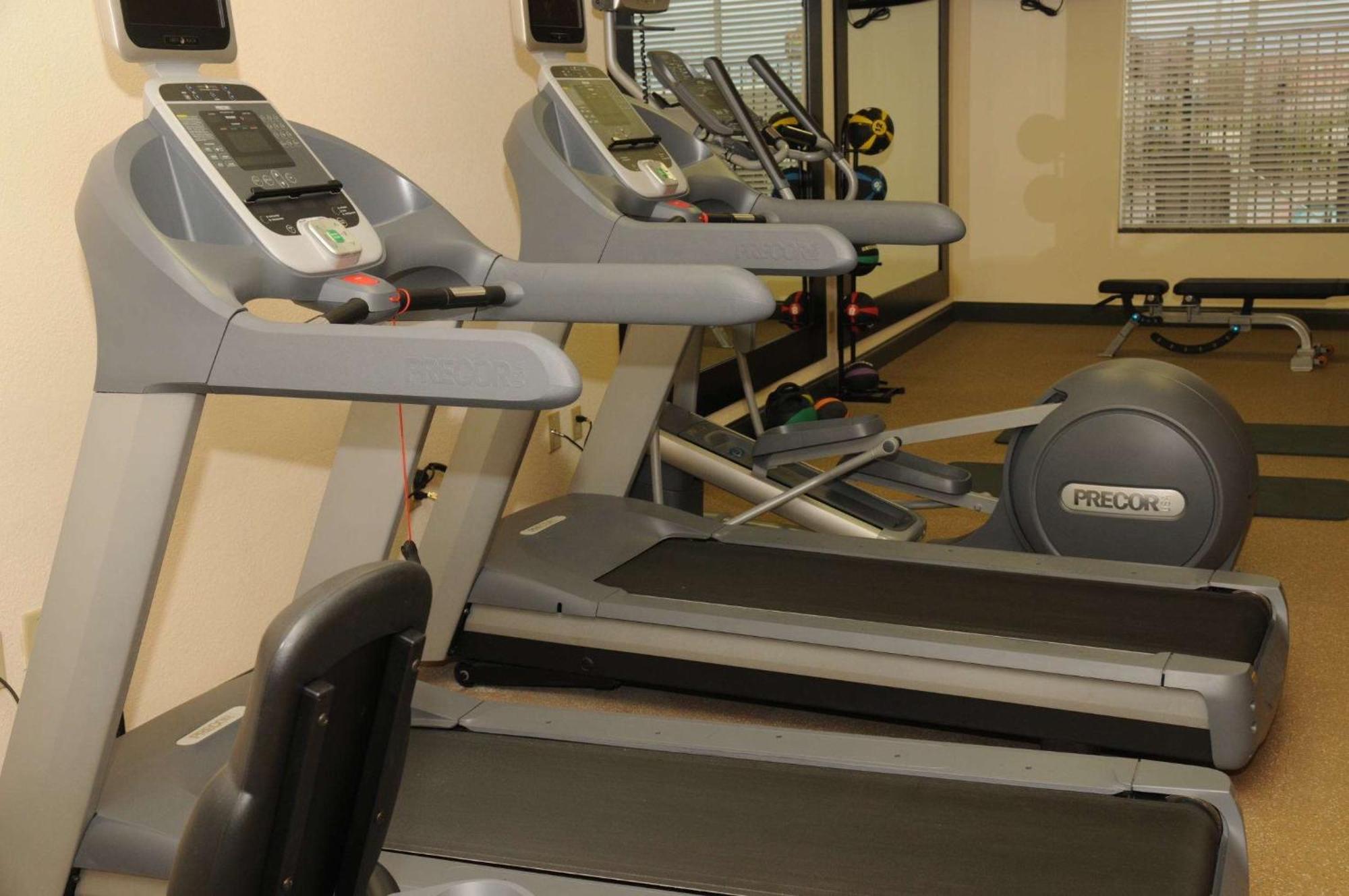 Hilton Garden Inn ניו בראונפלס מתקנים תמונה