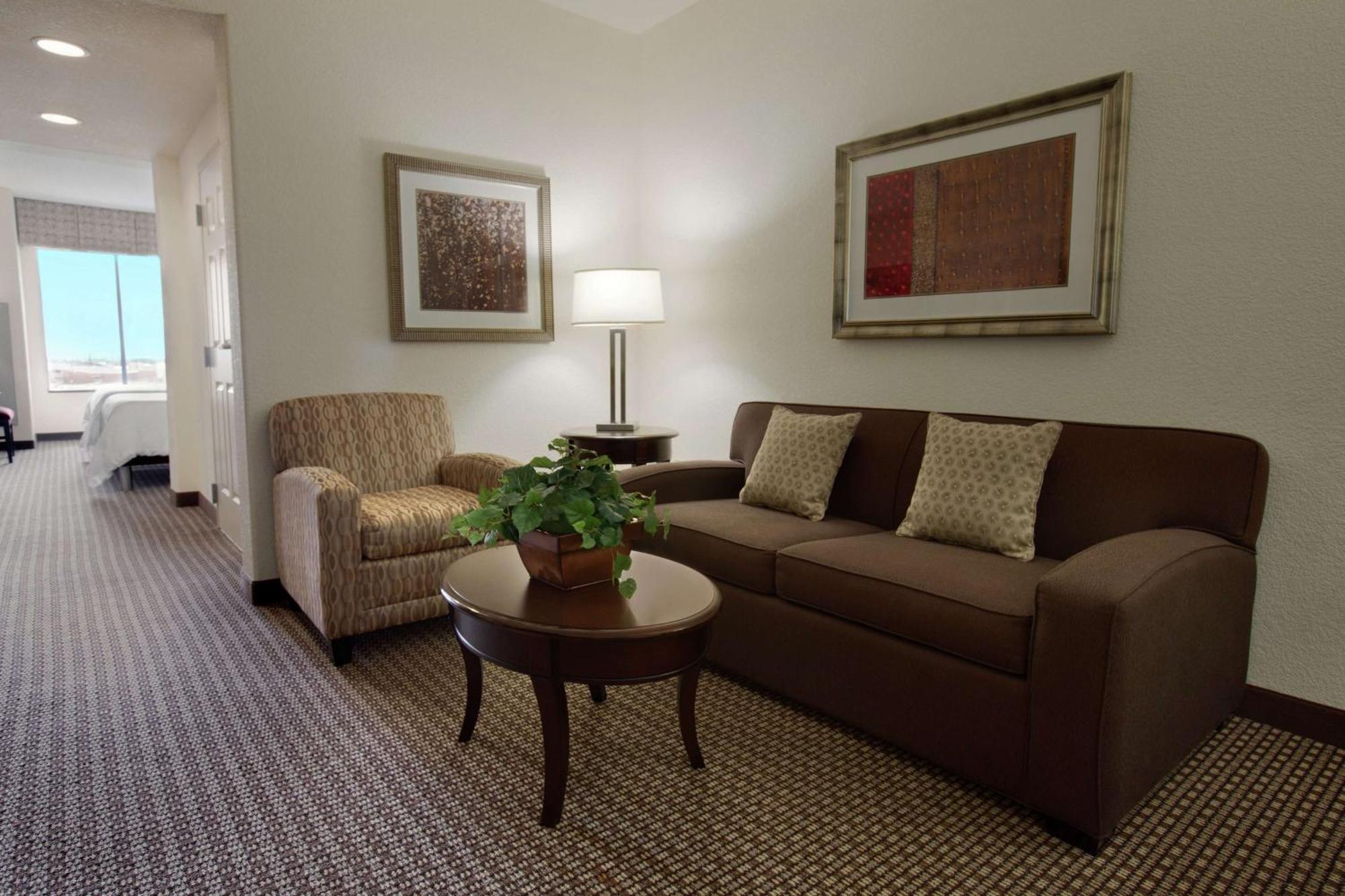 Hilton Garden Inn ניו בראונפלס מראה חיצוני תמונה